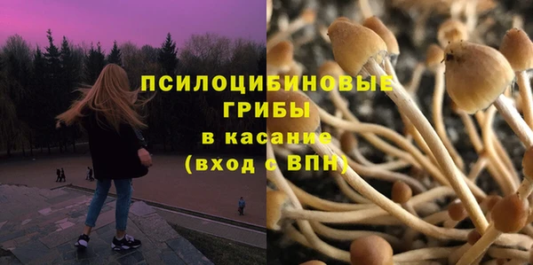 прущий лед Аркадак