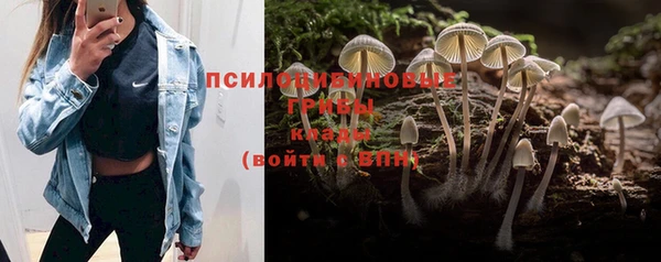 мяу мяу кристалл Арсеньев